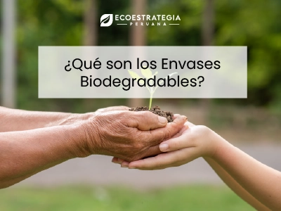 Los envases biodegradables son productos que reducen los cambios ambientales y cumplen un rol determinante
