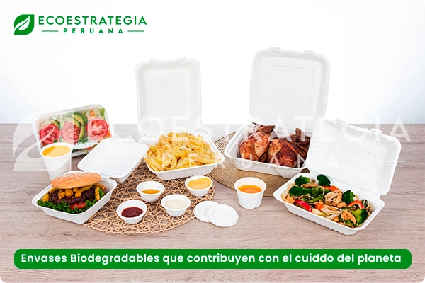 Envases biodegradables para alimentos y bebidas como bowls bambu sopero y salad, vasos biodegradables para café o refresco, pirotines para salsas y ajiceros