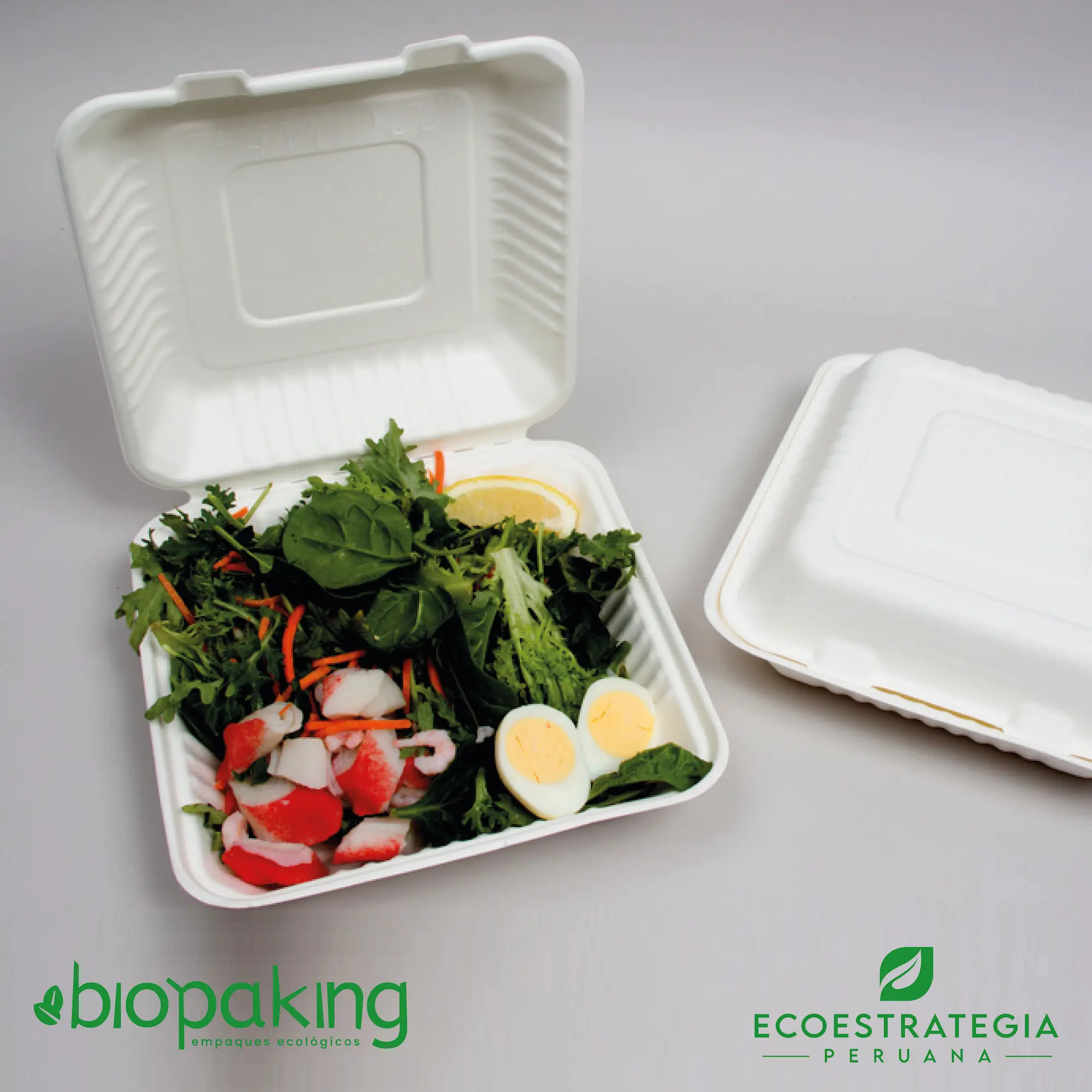 Eco Estrategia Peruana: Envases biodegradables CT3