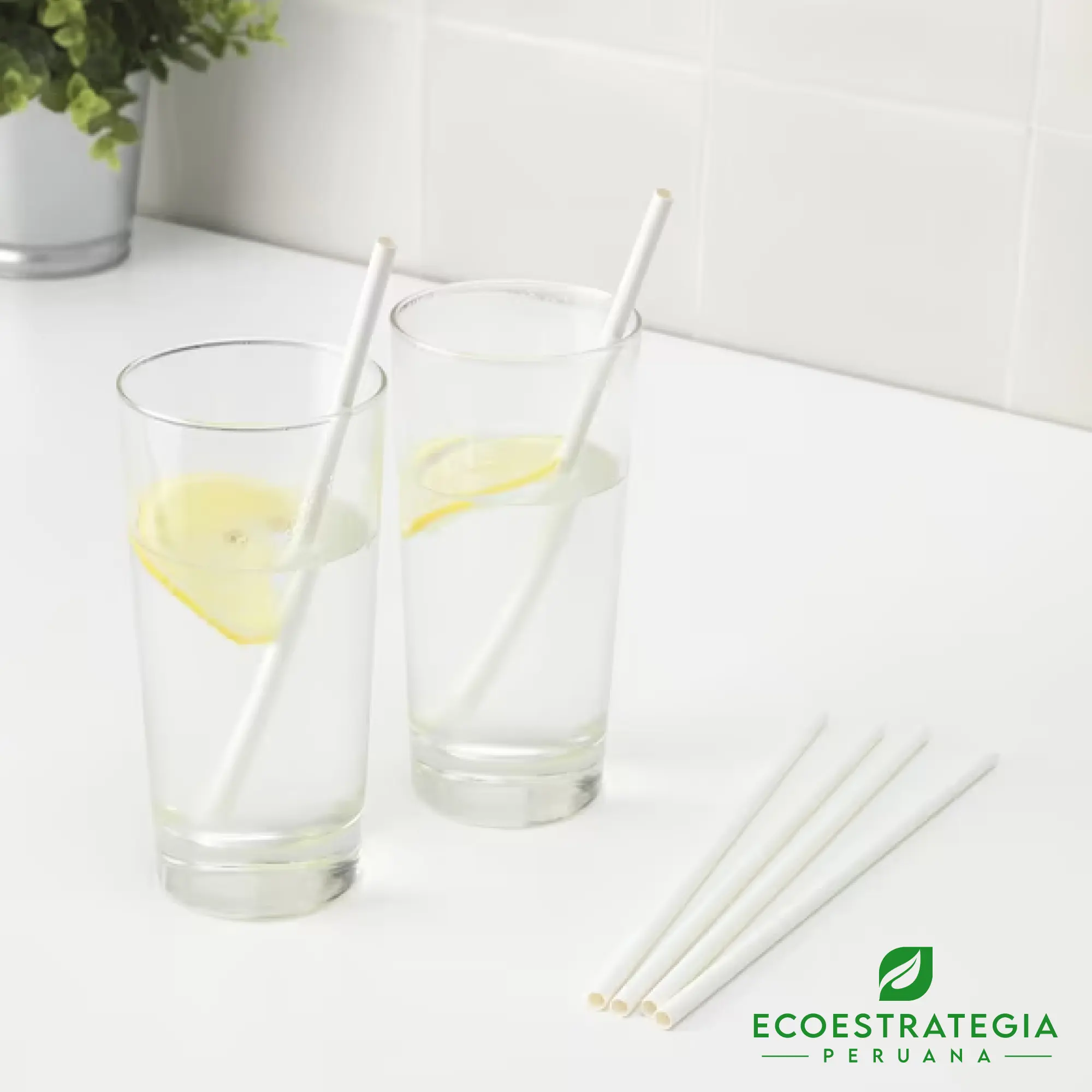 Sorbete de papel biodegradable 8 mm Este sorbete de 8 mm es un producto de materiales ecológicos, hecho a base de papel biodegradable. Cotiza sorbetes, cañitas y popotes para bebidas