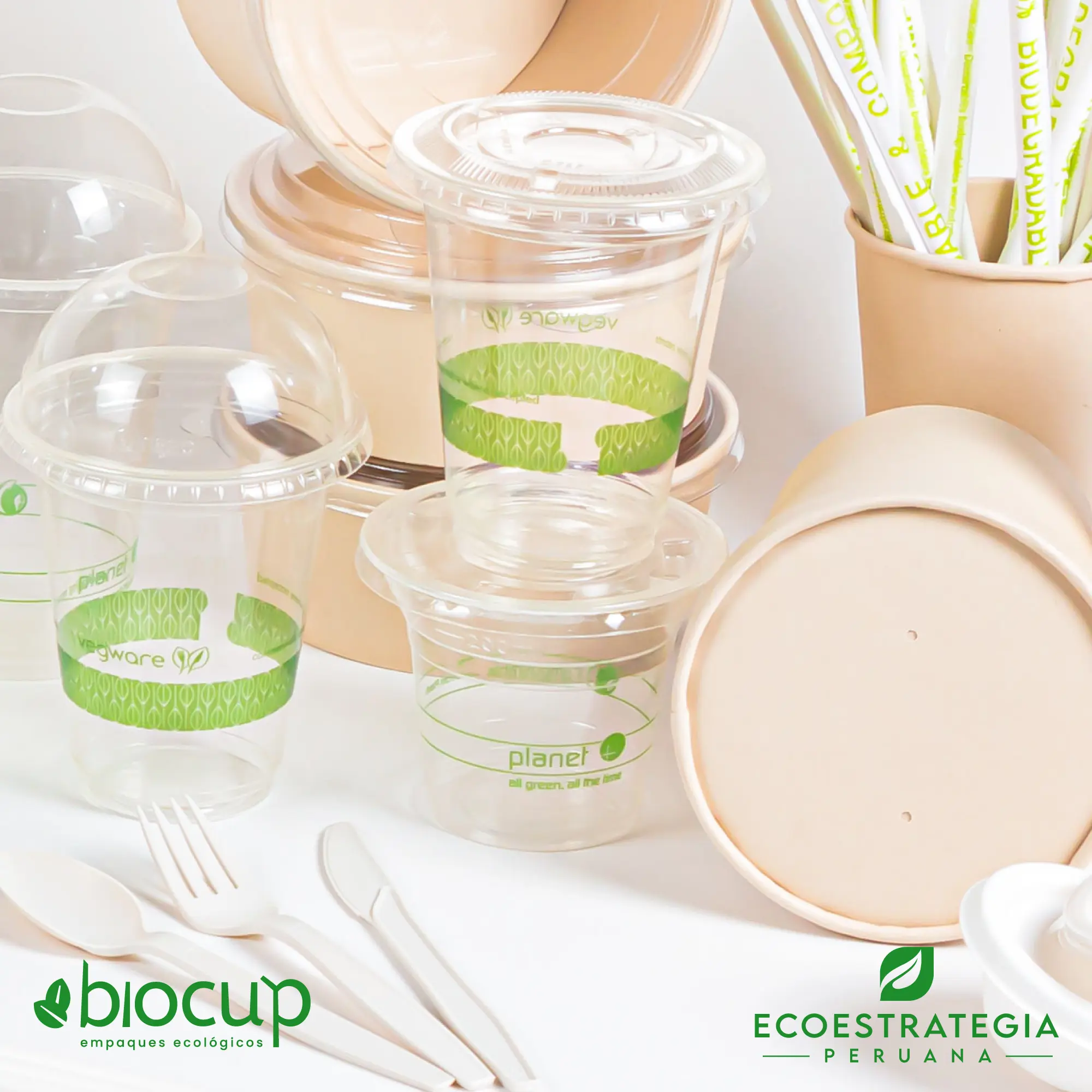 Vaso biodegradable de fécula de maíz de 9 oz con tapa plana Este vaso de 9 oz con tapa plana, es un producto de materiales biodegradables, hecho a base de fecula de maíz. Cotiza tus vasos para bebidas frías o calientes
